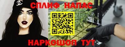 скорость Дубна