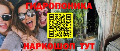 скорость Дубна
